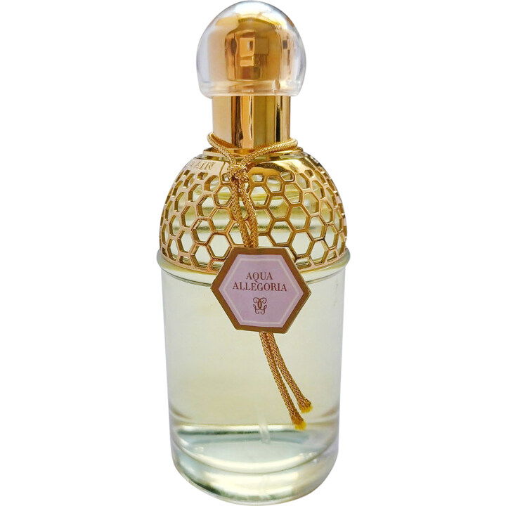 Aqua Allegoria Lavande Velours